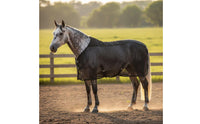 Anti Horse Sheet Adjustable Size Mesh Fly Sheet Lightweight Animal Cover for Outdoor