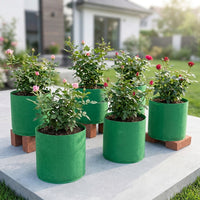 Non-woven Fabric Planter, Home Vegetable Garden, Flower Pot, 240ml, Grow Bag, Bright Green, Cultivation Bag