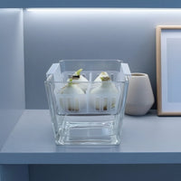 Crystal Clear Hydroponic Flower Planter Protects Roots Glass Bulb Forcing Vase Heat Resistant Water Planting Pot with Basket Inexpensive Replacement for Desktop