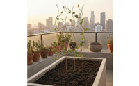 Arched Iron Trellis Ground Stakes Arched Garden Trellis Climbing Plant Support Arch Sturdy