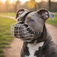 Metal Dog Muzzle Allows Panting Wire Dog Muzzle Comfortable Padding