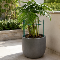 Iron Art Plant Support Half-Round Trellis for Climbing Plants, Orchids, Hydrangeas, Roses, and Greenery