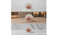 Coral Sculpture with Acrylic Base Tabletop Coral Sculpture Translucent Resin Ornament with Base for Living Room, Office Desk
