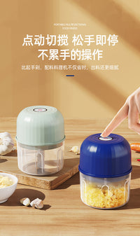 Manual Garlic Mincer with ABS Body and Two-Blade Design