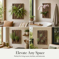 Large Carbonized Wood Fern Mounting Board for Staghorn Ferns and Orchids