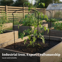 Curved Plant Support Frame Wrought Iron Flower Support Frame Anti-Tipping Half Round Plant Stake for Potted Plants, Outdoor, Balcony