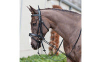 Elastic Horse Training Rope Versatile Elastic Training Rein Simple to Use Riding Aid for Equestrians
