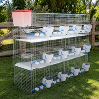 Bird Breeder Bird Cage Welded Wire Mesh 3-Tier 12 Compartments Galvanized Steel Wire 200x55x150cm Large For Pigeon Enthusiasts Breeding