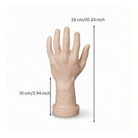 Mannequin Hand with Base Molded Hand Mannequin PVC for Photographers