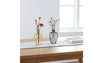Metal Frame Vase Minimalist Aesthetic Metal Wire Frame Vase Glass Tube Flower Holder Bright Luxury for Living Room, Office Desk