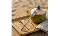 Manual Coconut Tool Pointed Tip Stainless Steel Opener Ball Handle for Kitchen