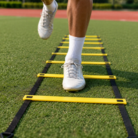 agility ladder set