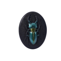 3D Wall Art Iridescent Wall Plaque Lustrous Embossed for Collectors, Entryway