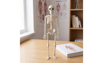 Spooky Plastic Skeleton Decorative Skeleton Prop Scary Decorations Realistic for Halloween, Haunted House, Party