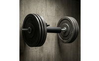 Space-Saving Wall-Mounted Weight Plate Holder Heavy-Duty Wall Mounted Plate Peg Compact for Home Gym Owners, Athletes, Fitness Studio