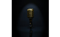 Chrome-Finish Vintage Mic with Stand Mount Compact Retro Mic Adjustable-Angle Mic Handheld for Performers