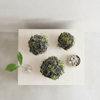 3 Pieces Artificial Volcanic Geological Spheres Looking Fake Nature-Textured Decorative Sphere Balls with Branches Realistic Artificial Moss Ball