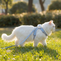 Cat Harness and Leash Set, Adjustable Polyester Vest Style Kitten Harness with Kitten Leash, Small Cat Outdoor Walking Gear, Not Retractable