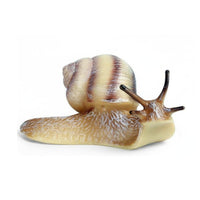 Simulation Model Realistic Figure Toy Set for Students, Science Projects, Classroom, Garden Decoration