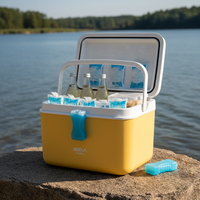 Portable Insulated Cooler Box with Ice Packs for Outdoor Camping Fishing Car Travel