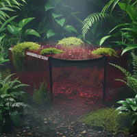 Translucent Reptile Hiding Shelter Acrylic Terrarium Visual Hide Smooth Hideout Sturdy for Gecko