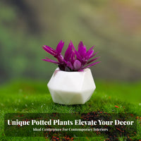 small Landscape Plant Ornament Realistic Appearance small Landscape Plant Easy to Maintain Dollhouse Flowerpot Model for Hobbyists, Terrarium, Desktop