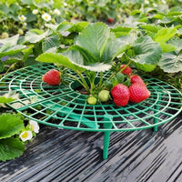 Strawberry Plant Support for Outdoor Gardening, Green Fruit Support with Sturdy Legs, Half-Round Strawberry Supports, Container Gardening