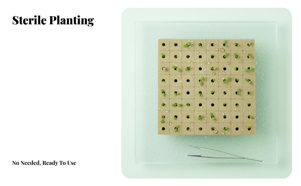 100 Pieces Soilless Starter Cubes Easy to Transplant Soilless Grow Plugs Sterile Plant Rooting Plugs for Hydroponics Enthusiasts, Vertical Farming