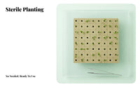 100 Pieces Soilless Starter Cubes Easy to Transplant Soilless Grow Plugs Sterile Plant Rooting Plugs for Hydroponics Enthusiasts, Vertical Farming