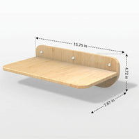 Cat Window Perch and Shelf combination, Foldable Wall-Mounted Cat Perch with Suction Cup, Indoor Cats Climbing Wall for Glass Tile areas