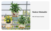 Semi-Circle on wall Planter Hanging Design plant Pot Minimalist & Design for Balcony
