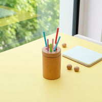 Color Sorting Toy Educational Color Matching Toy Wooden Base with Rods Hands-on Developmental for Toddlers, Playroom, Homeschool