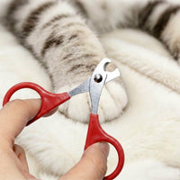Nail Clippers for Professional Pet Grooming, Stainless Steel Dog and Cat Nail Clippers, Scissor Style for Small Animals, Non-Slip and Easy to Use