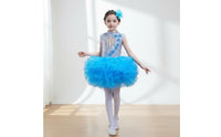 School Choir Uniform Soft Tulle Skirt Girls' Glitter Ballet Skirt Dress Boys' Glitter Performance Outfit Bright Hues