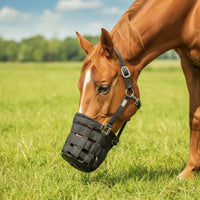 Padded Horse Muzzle with Halter Ventilated Horse Muzzle Lightweight Tack Nylon for Horses, Stable