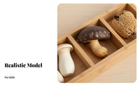 Simulation Mushroom Clear Texture Realistic Mushroom Model No Decay Simulation Food Model for Children
