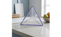 Transparent Fruit Shaping Mold Two-Piece Fruit Growing Mold Clip Fastened