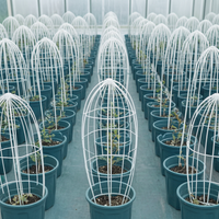 Fiberglass Plant Support Stakes for Garden Flowers and Climbing Vines
