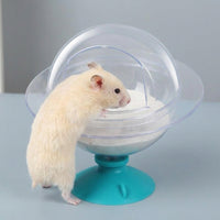 Transparent Hamster Sand Bath and Hamster Toilet, 16cm Hamster Sand Bath with Splash Basin for Small Animal Hygiene