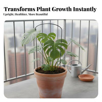 Curved Plant Support Frame Wrought Iron Flower Support Frame Anti-Tipping Half Round Plant Stake for Potted Plants, Outdoor, Balcony
