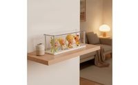 Figurine Display Case Transparent Acrylic Display Box Clear Showcase for Collectors, Desk, Shelf