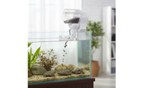 Adjustable Portions Automatic Turtle Feeder Large Capacity Timed Turtle Food Dispenser Portion Control Timed Pet Food Dispenser Single-Button Operation for Travelers, Busy Professionals, Terrarium