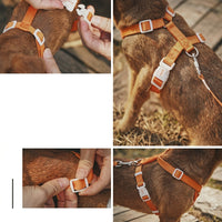 Adjustable Cat Harness and Kitten Walking Set, H-shaped Textile Strap Outdoor Cat Harness, Secure Non-Retractable Leash for Outdoor Walking