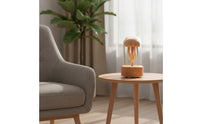 Jellyfish Night Light Warm Glowing Wooden Melody Player Melody Player with Dome Tabletop for Bedside Table, Reading Nook