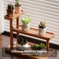 Multitier Design Tiered desert plant Rack Mobile with casters Tiered Plant Display Desktop accommodating Household Organizer Space-Saving for Home Decorators, Office Workers, Gift Givers, Balcony, Windowsill, desktop surface, Living Room