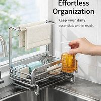 Sink Organizer for Kitchen with Punch Wall Mounted Design, 201 Stainless Rack & Dish Drying Countertop drain Tray for Tidy Organization