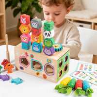 Sorting and Stacking Toy Fine Motor Wooden Sorting Toy Shape Sorter Educational Toys Non for Toddlers, Playroom, Daycare