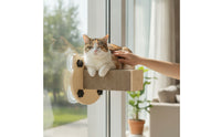Cat Window Perch Sturdy Cat Window Shelf Strong Furniture for Balcony
