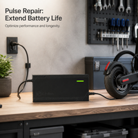 Electric Vehicle Lithium Battery Charger 48V 60V 72V 5A Fast Charger for Ternary Polymer LiFePO4 Batteries