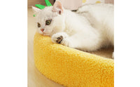 Wear Resistant Oval Cat Scratcher Bed Less Debris Oval Cat Scratcher Lounge Furniture Protection Curved Design for Multiple Cats
